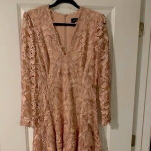 Beautiful Tadashi Shoji Floral Embroidered Lace Dress Size 12 Long Sleeve